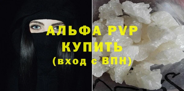 ГАЛЛЮЦИНОГЕННЫЕ ГРИБЫ Инсар
