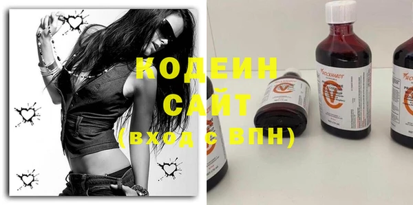 ГАЛЛЮЦИНОГЕННЫЕ ГРИБЫ Инсар