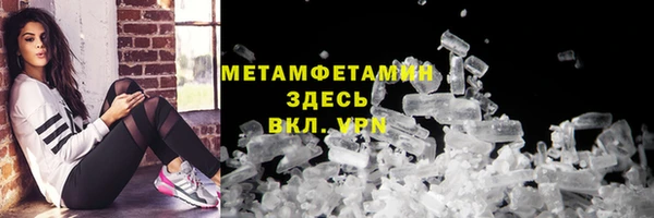 ГАЛЛЮЦИНОГЕННЫЕ ГРИБЫ Инсар