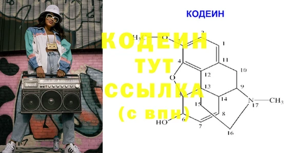гашик Иннополис