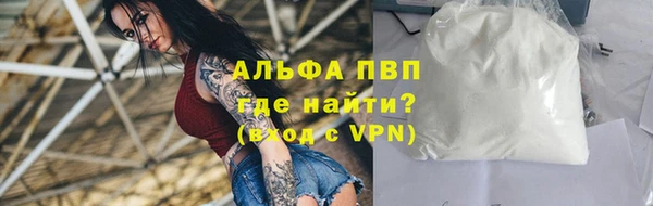 гашик Иннополис