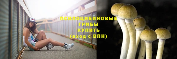 герыч Каменка