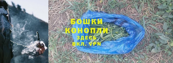 ГАЛЛЮЦИНОГЕННЫЕ ГРИБЫ Инсар