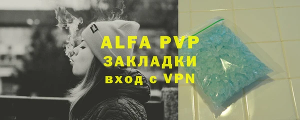 ГАЛЛЮЦИНОГЕННЫЕ ГРИБЫ Инсар