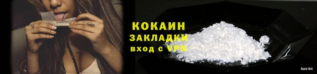ГАЛЛЮЦИНОГЕННЫЕ ГРИБЫ Инсар
