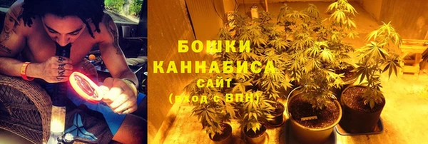 гашик Иннополис