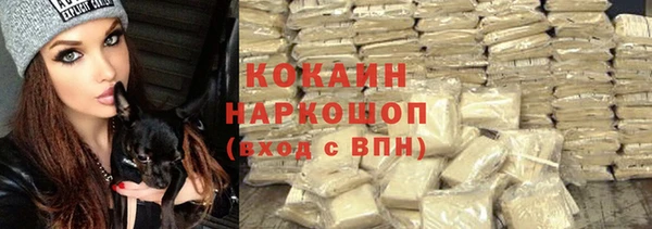 гашик Иннополис