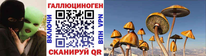 Купить где  Гатчина  Галлюциногенные грибы прущие грибы 