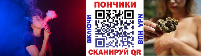 Каннабис план  Купить  Гатчина 